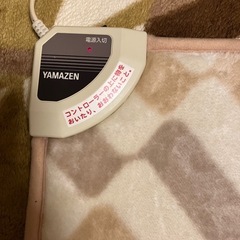 デスクワークに☆1人用ホットカ－ペットの画像