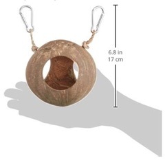 爬虫類　ココナッツ　シェルター　おまけ付きの画像