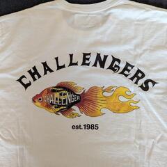 【新品未使用激レア！】CHALLENGERS FRAME　FISH