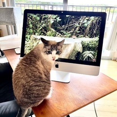   ✨値下げ！  Apple iMac 2017モデル 21.5インチ i5  1TB 