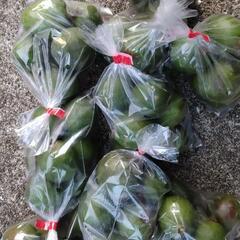 フェイジョア150円