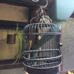 【値下げ！】新品未使用◎竹で出来た鳥カゴ 鳥籠 黒
