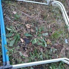 布団ほし　布団干し　物干しの画像