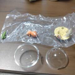 ポケモン　フィギアの画像