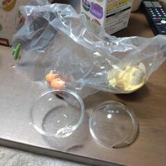 ポケモン　フィギア