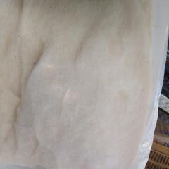 綿　100%　クミアイ　綿　3.75キロの画像
