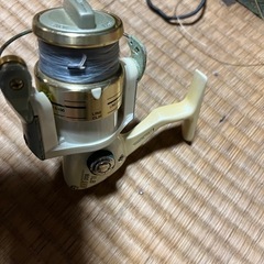 リール