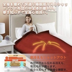 ✨新品✨電気毛布　ブラウ毛布　フランネル　電気毛布の画像