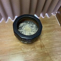 火鉢　メダカや金魚にも