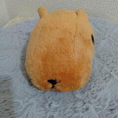 トコトコ歩く　カピバラさん　ぬいぐるみの画像