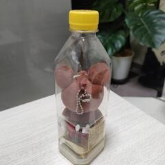 お値引しました！ペットボトルの中にミツキ−が🫰の画像