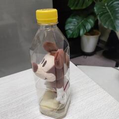 お値引しました！ペットボトルの中にミツキ−が🫰の画像