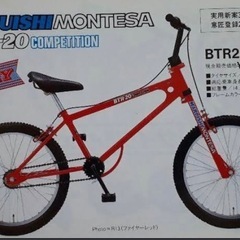 丸石自転車　BTR-20 トライアルの画像