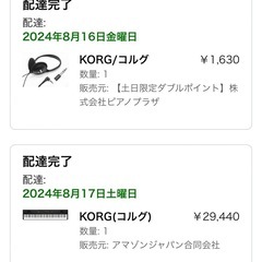 KORG(コルグ) 電子ピアノ Liano の画像