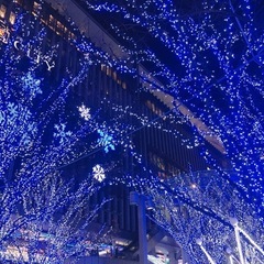 ほっこりとやり取りしませんか？（╹◡╹） - 佐賀市