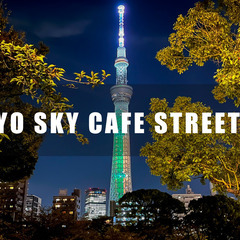 スカイツリーをバックに緑あふれる公園で今年最後の路上ライブをして...