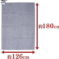 美品！ アイリスオーヤマ ホットカーペット 1.5畳 IHC-15-Hの画像