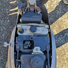 YAMAHA  MINT  Special  Editionの画像