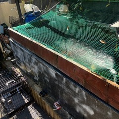 池、水槽の画像