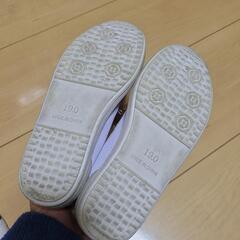 上履き　白　19cmの画像