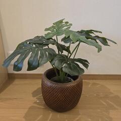 観葉植物　フェイクグリーン　モンテスラ
