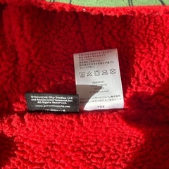 コストコ購入品、恐竜ジャンパーの画像