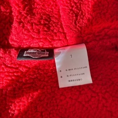 コストコ購入品、恐竜ジャンパーの画像