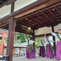 フラダンス　メンバー募集しますの画像
