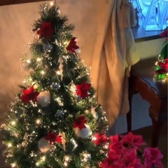 クリスマスツリーの画像