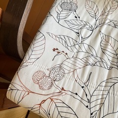 イケヤPOANG の画像