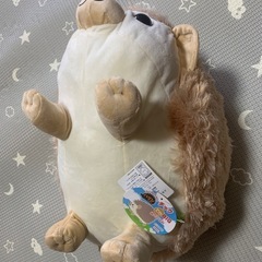 🌙✨ハリネズミB igぬいぐるみ🦔最大50㎝の画像