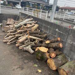 決まりました☆無料⭐︎丸太、枝☆薪に