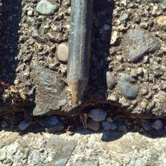 エリッゼステーク18cm7本コールマン20cm7本の画像