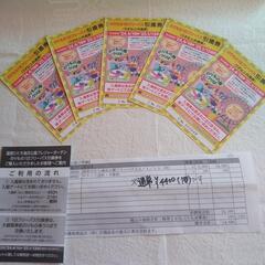 国営ひたち海浜公園乗り物フリーパス引換券5枚