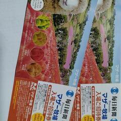 マザー牧場入場招待券