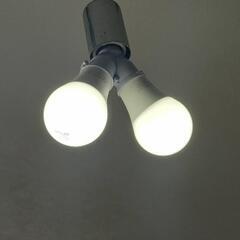 二股ソケット２個口LED電球付の画像