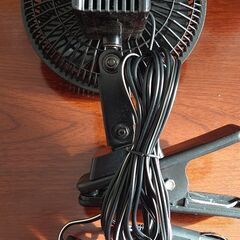 ｴﾌﾞﾘｲ ﾊｲｾﾞｯﾄ ﾊｽﾗｰ Nﾎﾞｯｸｽ ｼﾞﾑﾆｰ ﾊ...