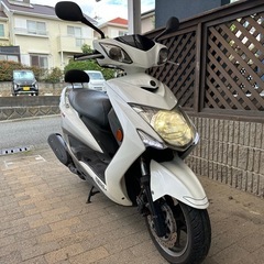 シグナスX3型　（SE44J）