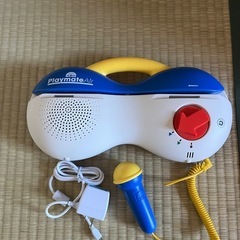 DWE トークアロングカード、Q&Aカードセットの画像