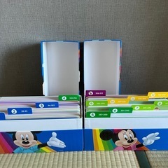 DWE トークアロングカード、Q&Aカードセットの画像