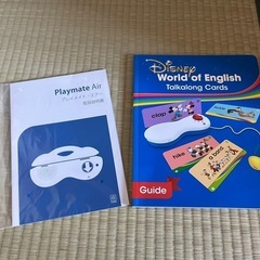 DWE トークアロングカード、Q&Aカードセットの画像