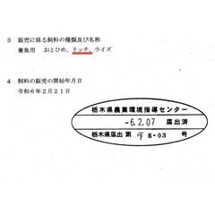 【メダカの餌】リッチC 100ｇ【発送可】の画像