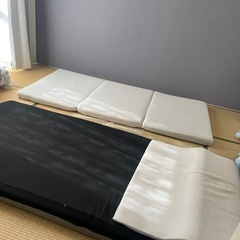 トゥルースリーパー　の　枕　と　ニトリなどの低反発敷布団3組