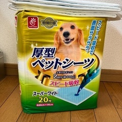 スーパーワイド２０枚