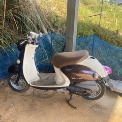 ビーノ　不動