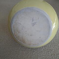 チンチラポットの画像