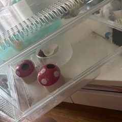 ハムスターのケージ
