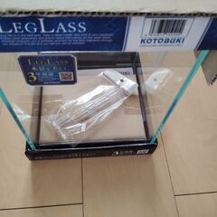 早い者勝ち　キューブ水槽　10L　2000円の画像