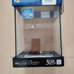 早い者勝ち　キューブ水槽　10L　2000円