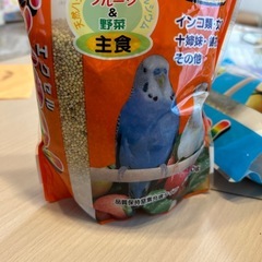 小鳥の餌の画像